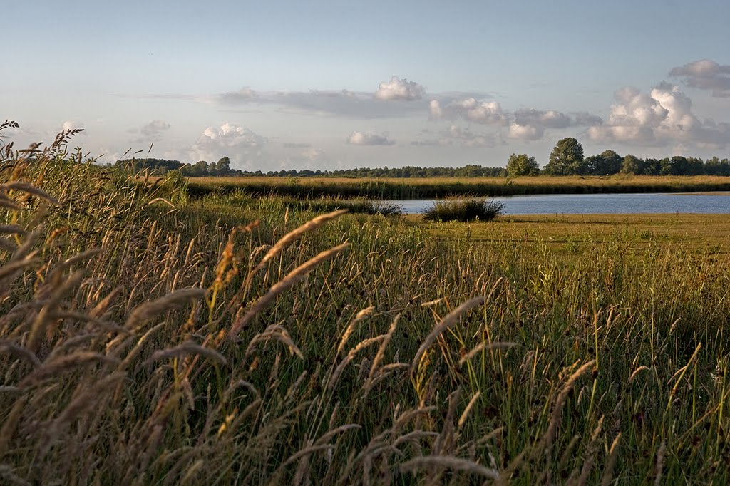 Natuurgebied Duurswold by Lenjan