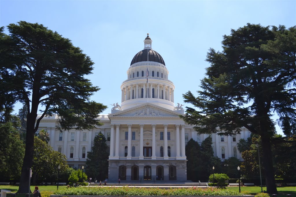 Capitol Building by Buddy Rogers