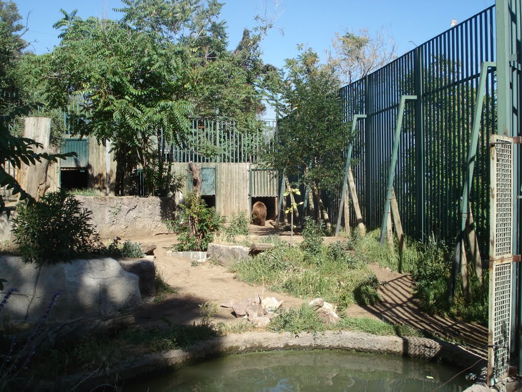 Piscina do urso by Dedé de Zé Luca