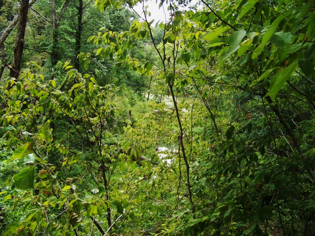 Natural Falls State Park by Ken Ehleiter, Jr.