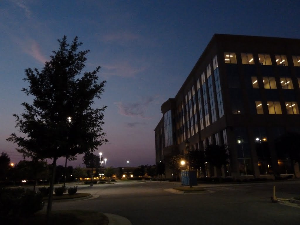 One of the Colonnade office buildings glows in the fading evening sunlight with a young oak tree silhouetted against the pastel sky, 7-21-11 by tompope2001