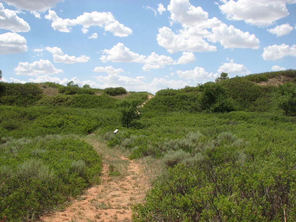 Beaver Dunes Trail by twvisionary