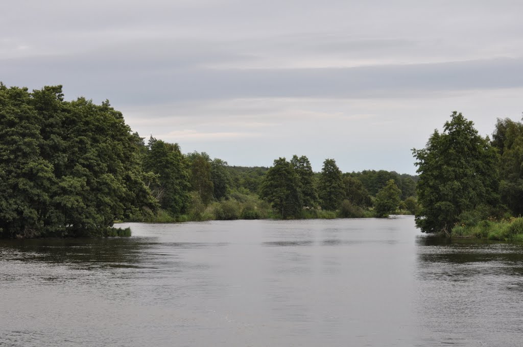 Auf der Peene by Elvira Ludwigs