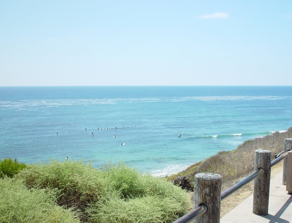 Sea Cliff, Encinitas by Daren Scot Wilson