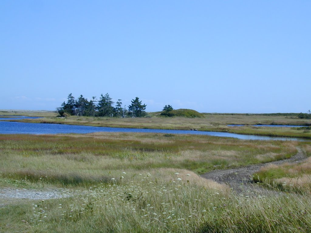 Blanche Tidal Pond by timyaukey