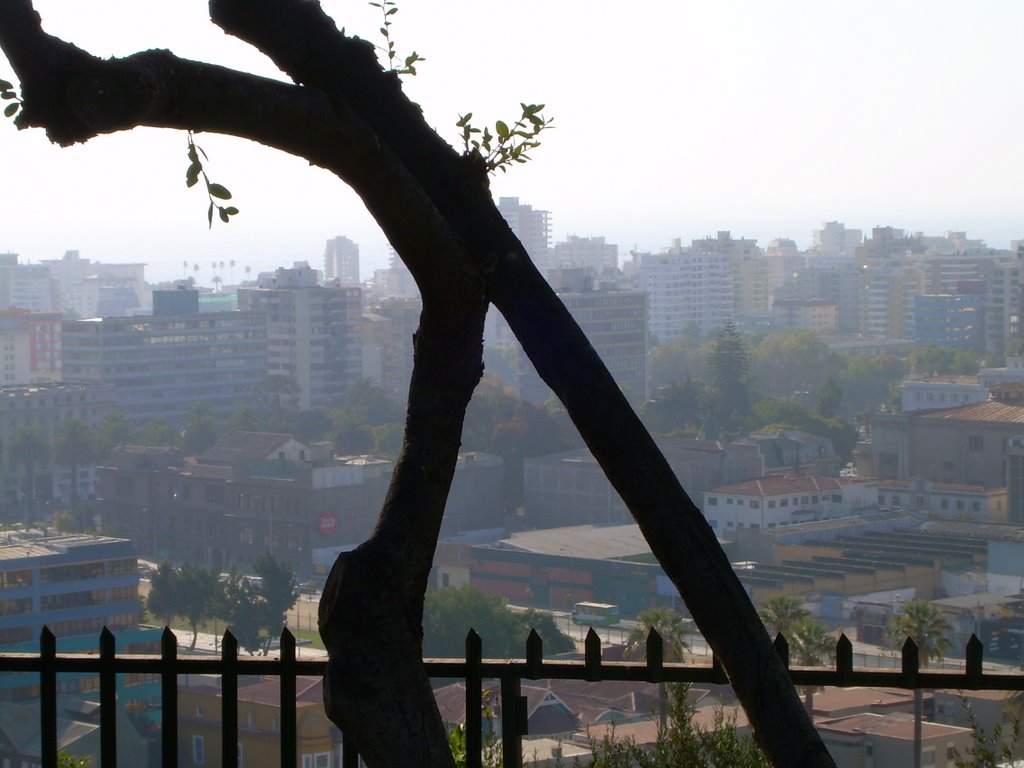 VIÑA´S VIEW, FROM GREECE SQUARE by GONZA TOBAR CARRIZO