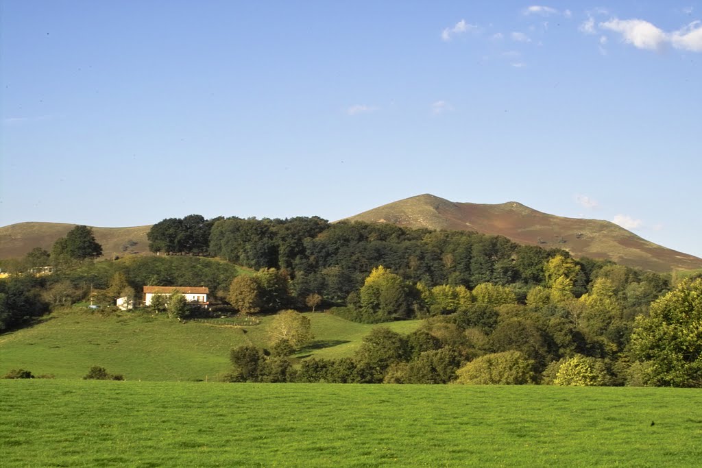 Campagne, St Esteben by Pays Nive-Adour-Ursuia (Pays Basque)