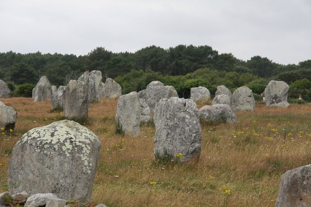 Megaltihanlagen in Carnac by uwe-aus-hamburg