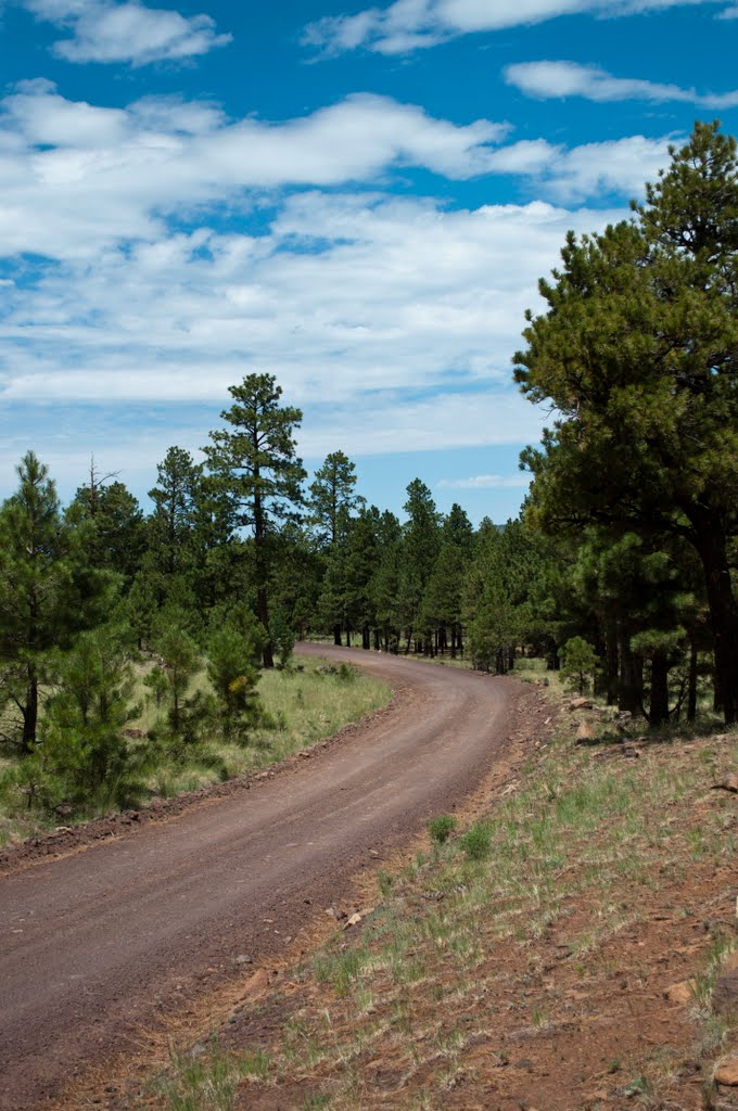 Flagstaff Scenery near FR 522 by davidpinter