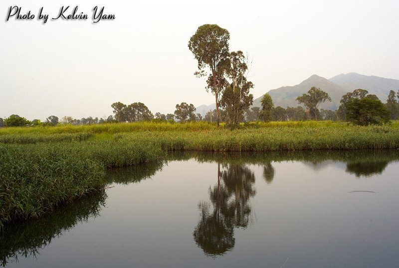 Nam Sang Wai by Kelvin Yam