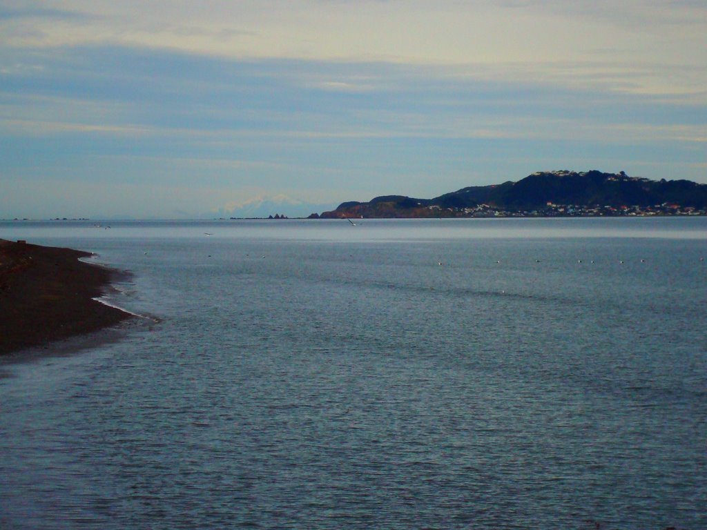 Harbour entrance & South Island by Kubisch