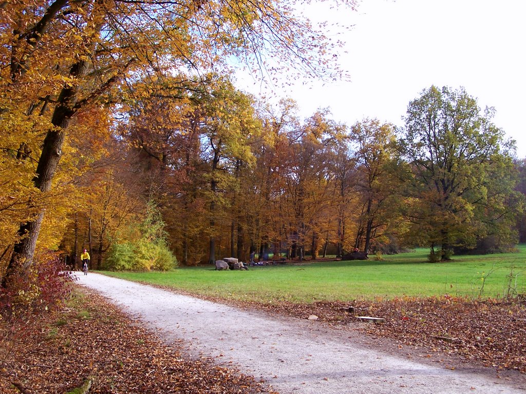 Zigeunereich im Herbst by Hartmut Scheuter