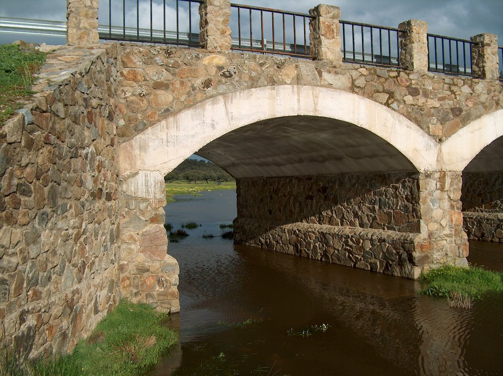 Detalle de un ojo del puente de La Sardina by Ricardo Pérez