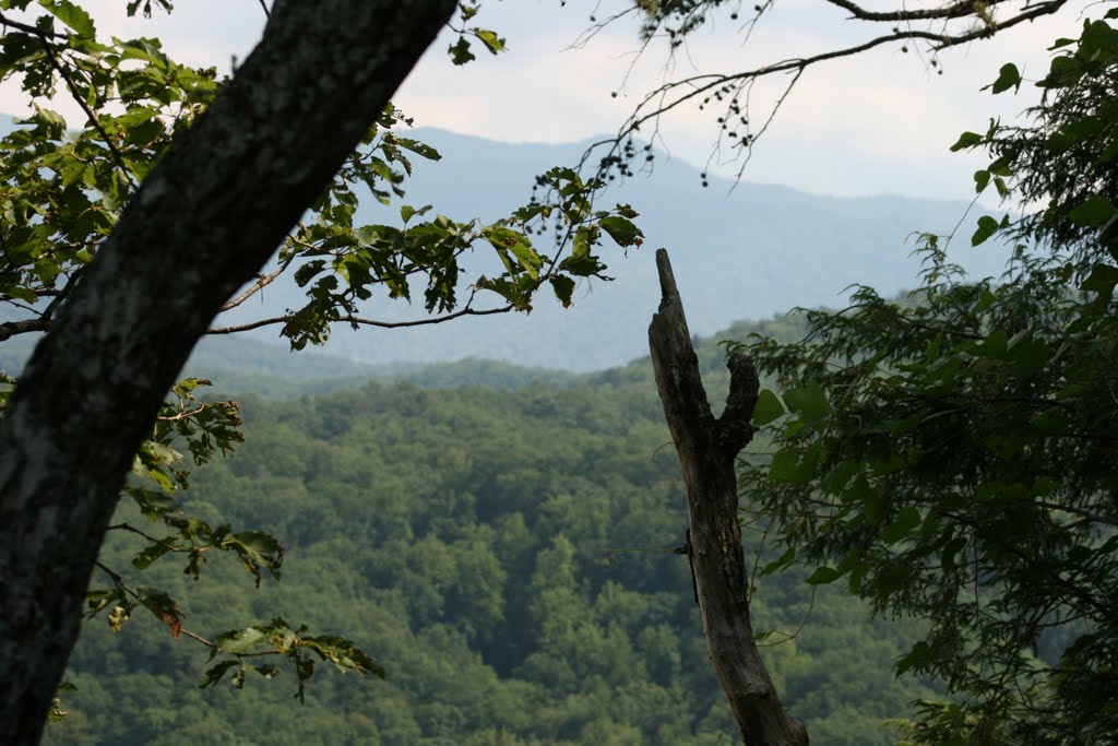 The View From Our Cabin by photoninja93