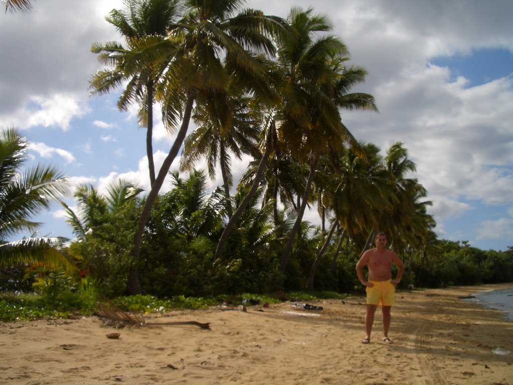 Fiji beach by niki-laos