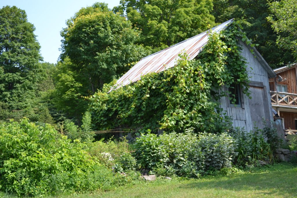 Quebec - Philipsburg by Jamie Cane