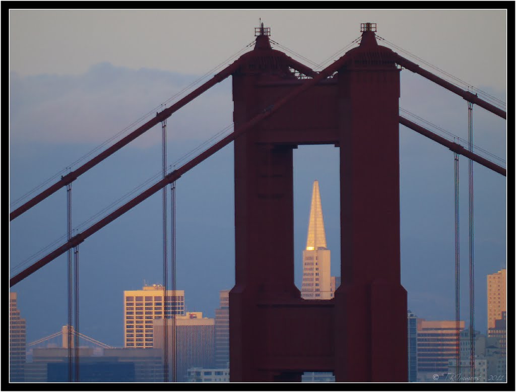 Transamerica Glow by Tony Immoos