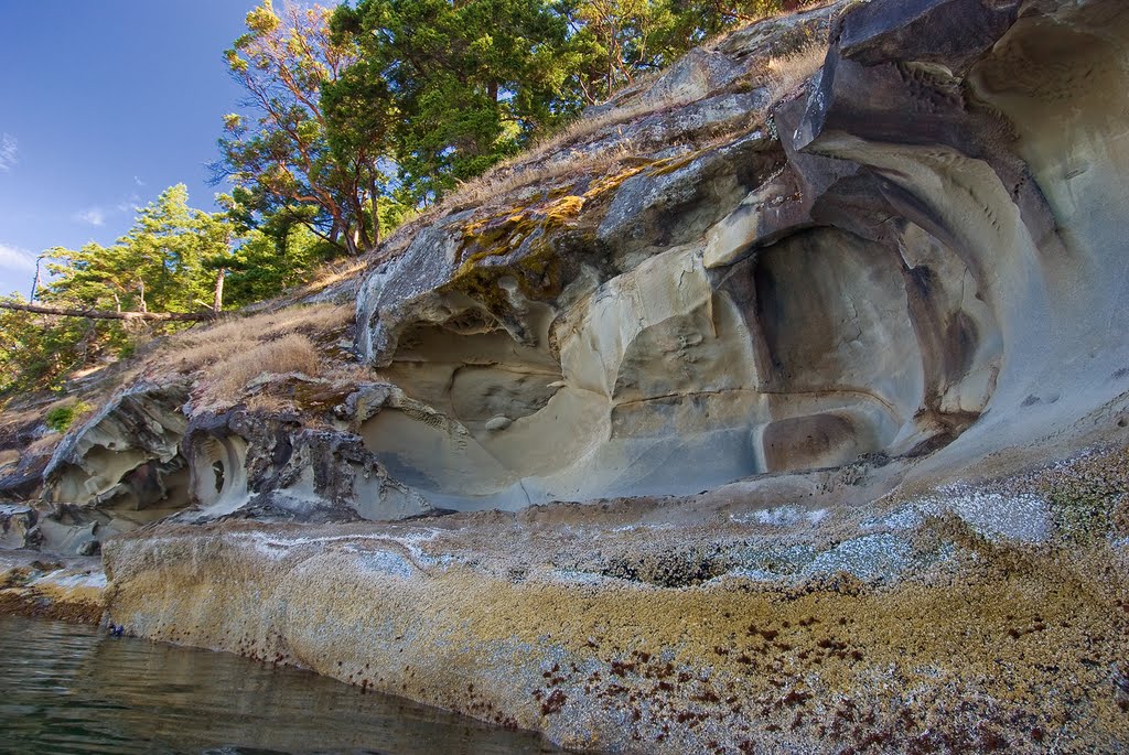 Sea Caves at De Courcy Island by Tazzaroo