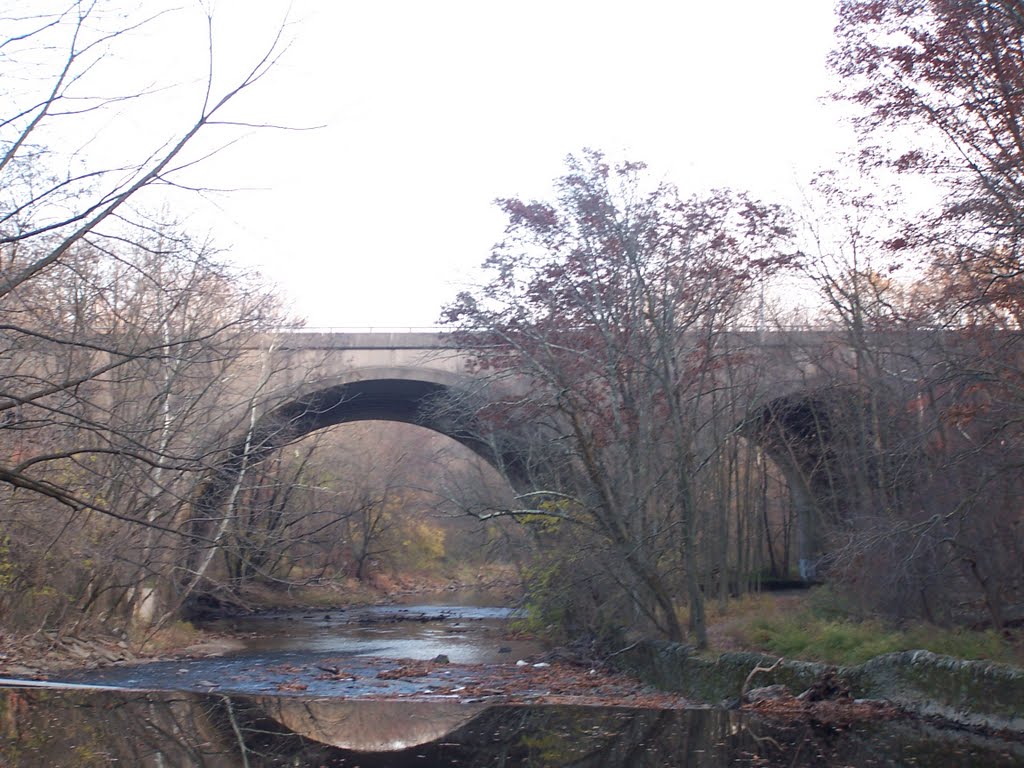 Roosevelt Blvd Bridge at Pennypack Park (11-22-2010) by Cheezst8ke