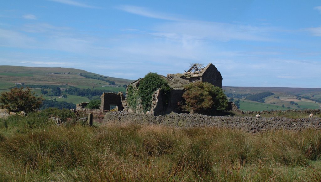 Nidderdale near Pateley Bridge by Tets