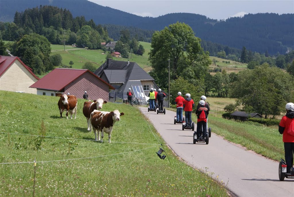 Segway fahren duch natur by www.segline.de