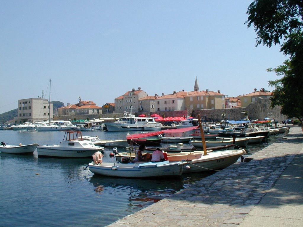 Budva - Hafen by Dieter Knausenberger