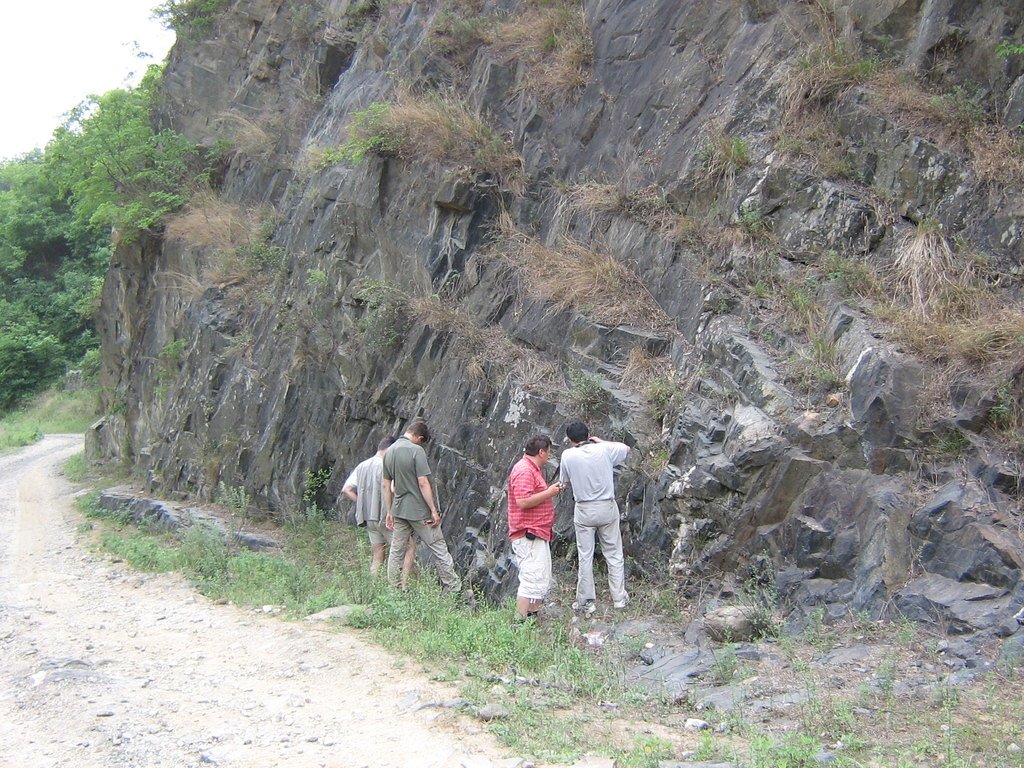 DkC_052 (7527_5) - outcrop overview, pl-rich amphibolite by Seuche