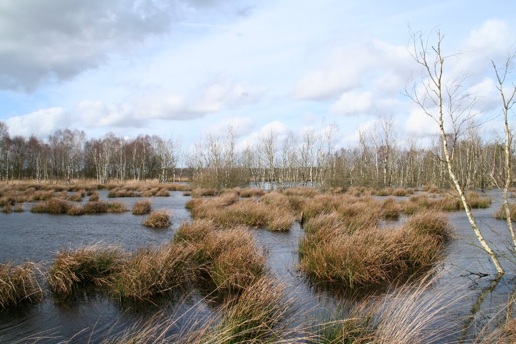 Hohes Moor bei Oldendorf by uwe-aus-hamburg