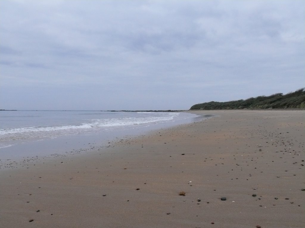 SEACLIFF BAY. by bri n julia