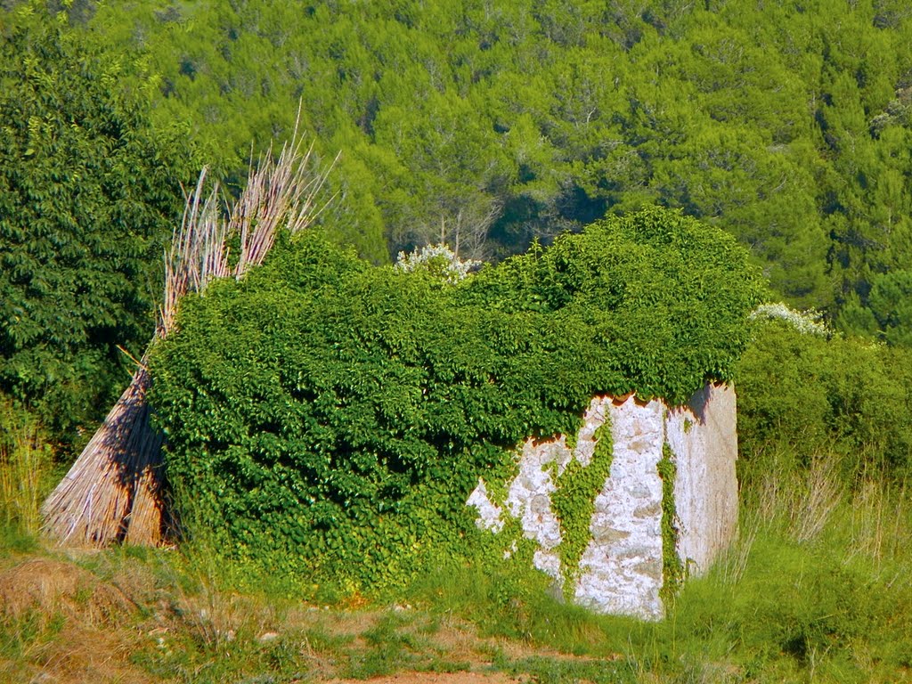 Construcció rural en runes a Ca l'Anton de la Torre, el Montmell by jordi domènech