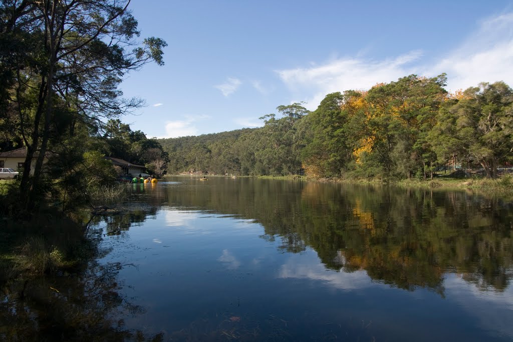 Royal National Park by Maksym Kozlenko