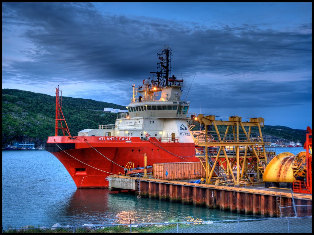 Atlantic Eagle St. John's Harbour by Faryndale