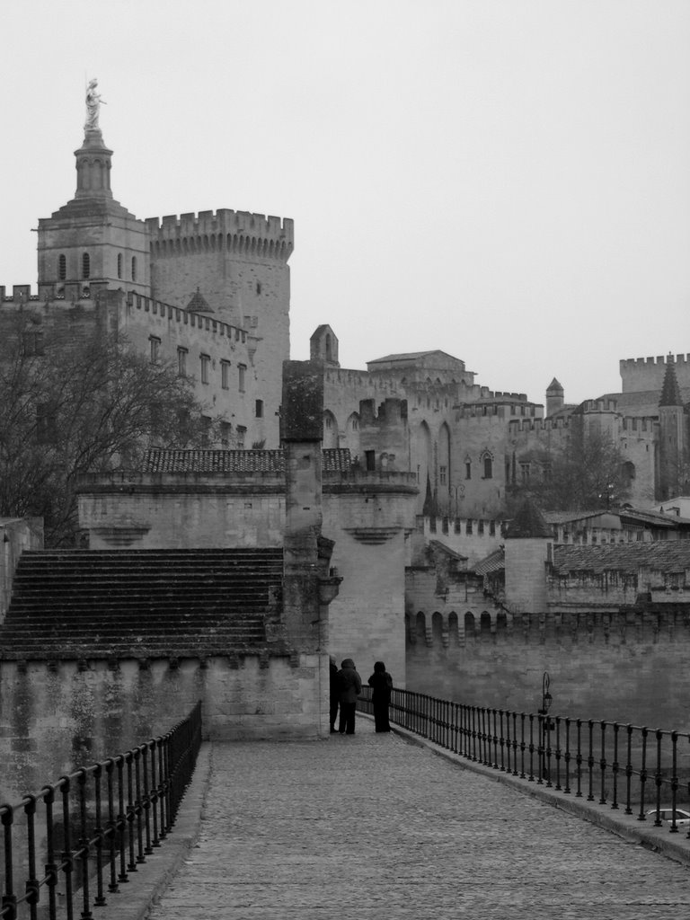 Avignon by .Simo.