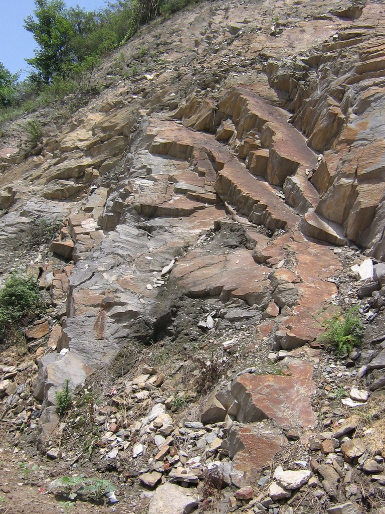 DkC_103 (7601_7) - outcrop overview, Wudang, py-bearing & folded greenschist with dolerite vein by Seuche