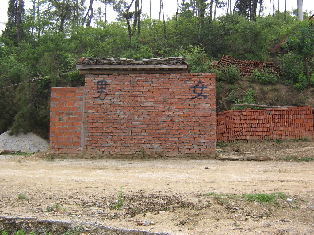 Never again chinese public toilettes by Seuche