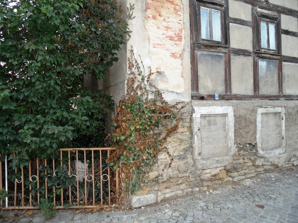 Wohnhausruine in Altgorbitz by Kampfmops1976