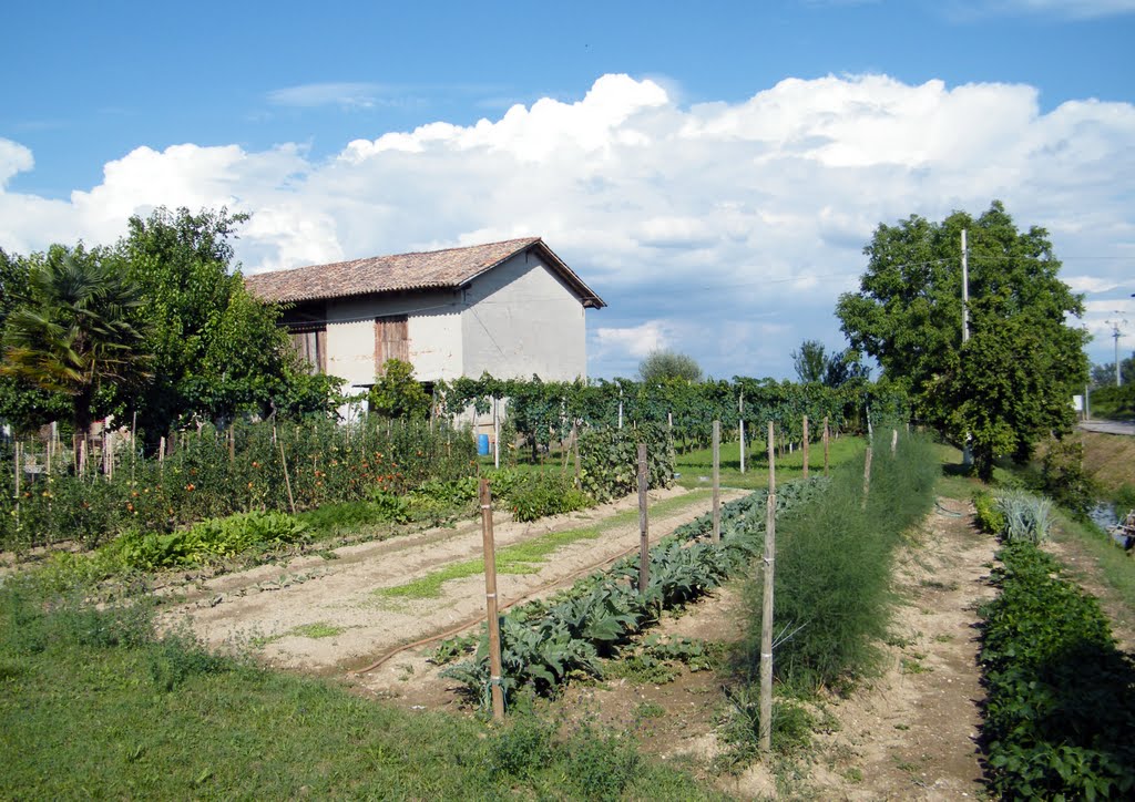 Saciletto di Ruda (UD) Via Papa Giovanni XXIII Gli Orti by MaurizioTex