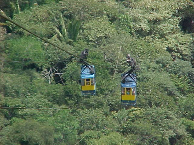 Bondinhos do Parque Nacional de Ubajara/CE by Verônica Silva:)