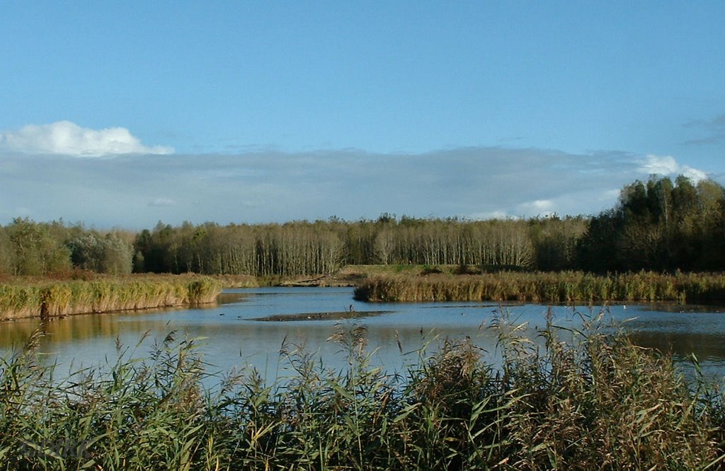 Poel bij de Vierhuisterweg by Dirk Zuidema