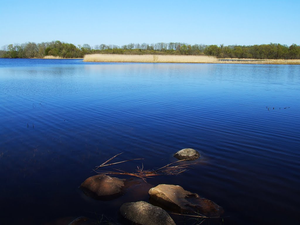 Daugava river by MyLVHeart