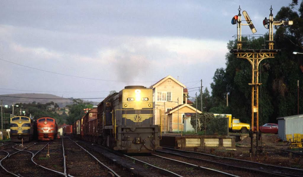 14/10/82 and X36 races the up 'fruity' through Bacchus Marsh as the morning commuters are being readied in the yard. by RodWilliams