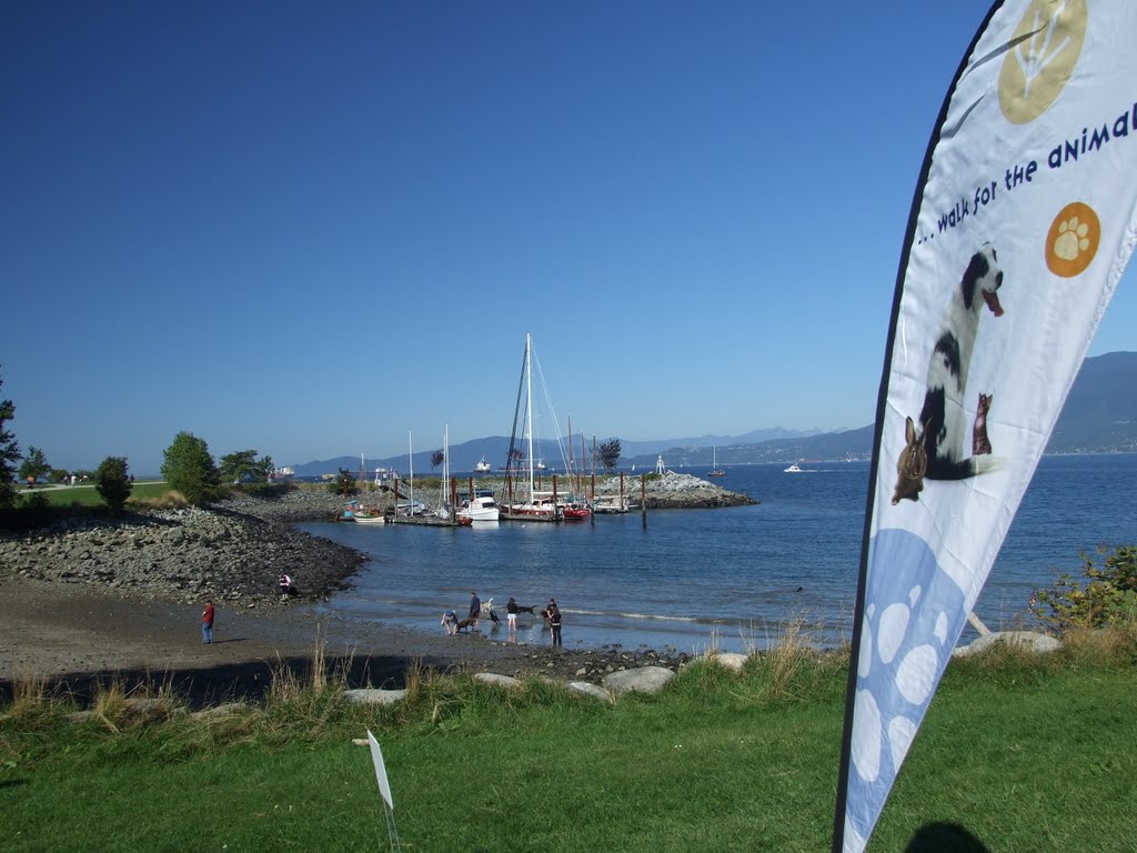 Vanier Park, Kitsilano, Vancouver by Amanda Wood