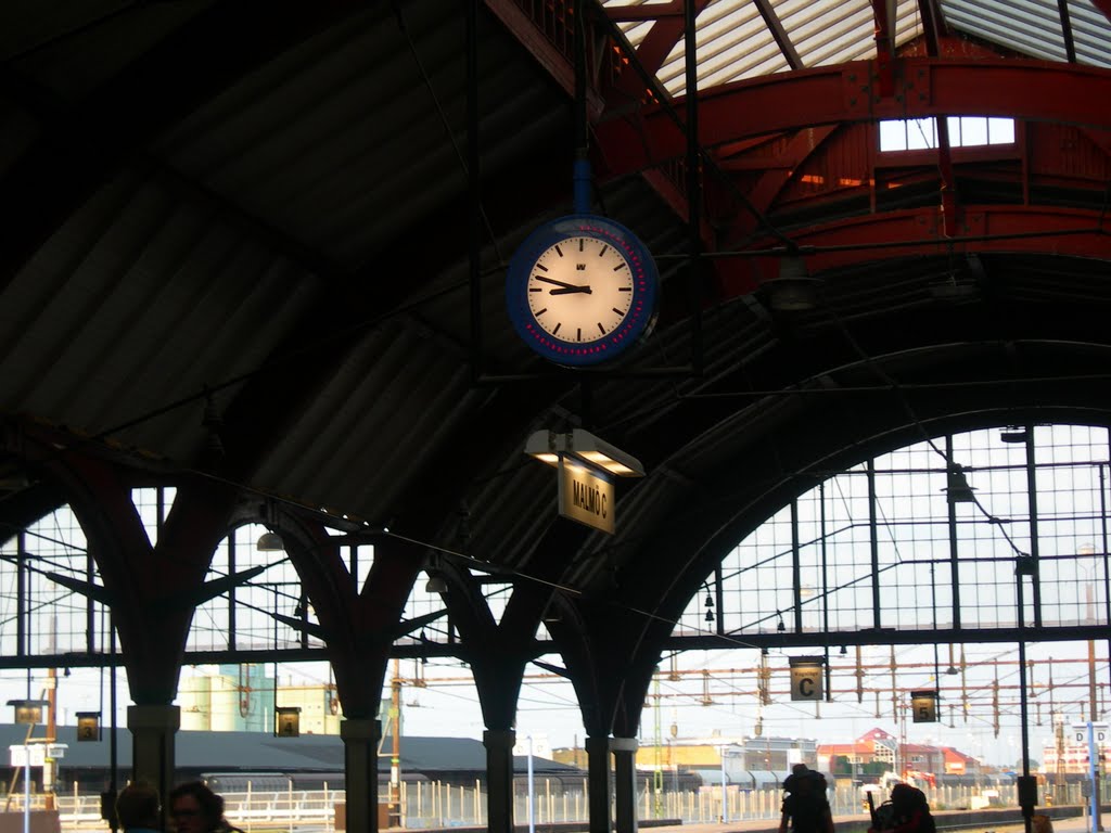 Malmö Centralstation by janiylinampa