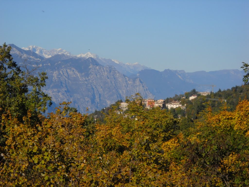 La Presanella sbirciata da San Zeno by Nicchio