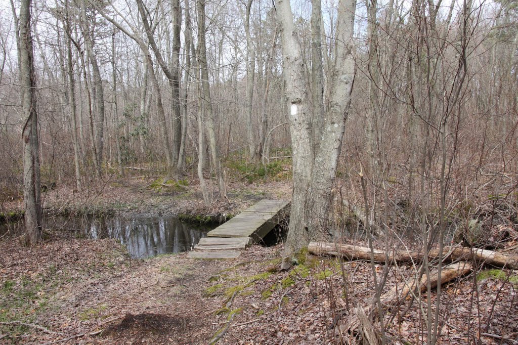 Greenbelt hiking trail by typingsux