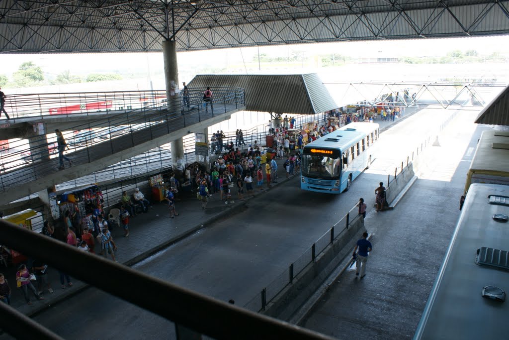 Terminal de Integração da Cidade Nova by RezendeJR AD