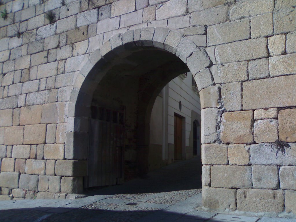 puerta de El Carmen by Vilupa