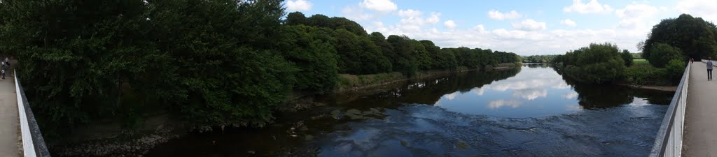 View from Tram Bridge Avenham Park by rodgerhowarth