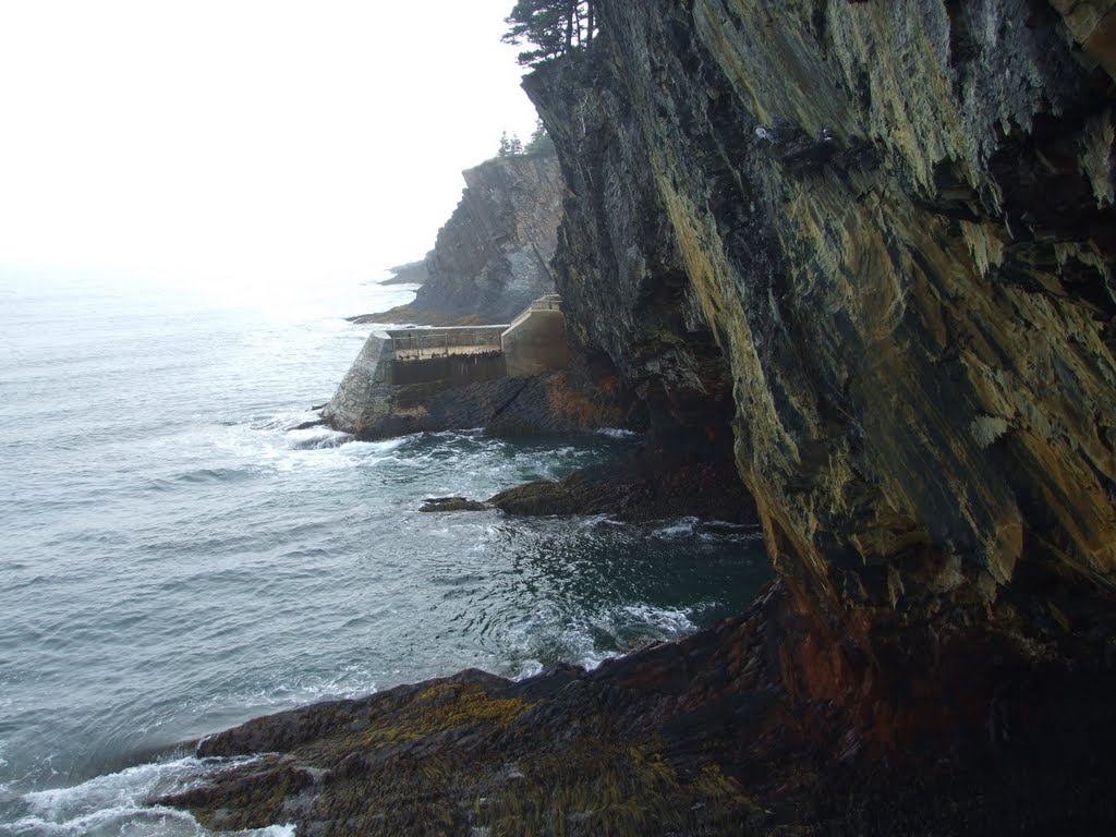 Ovens Park sea cave by Amanda Wood