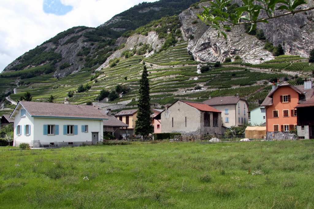 Ardon - village et vigne by Charly-G. Arbellay